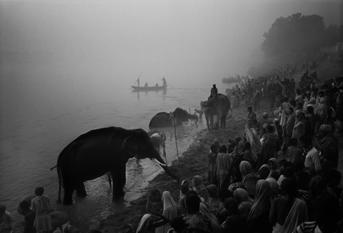 © Don McCullin - Elephant Festival, Sonepur Mela - 31-Studio Platinum Print